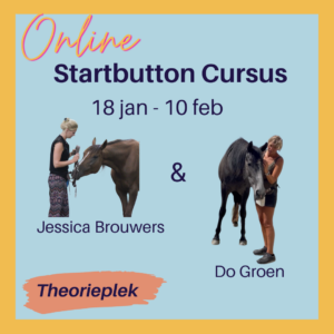 Startbutton cursus theorieplek